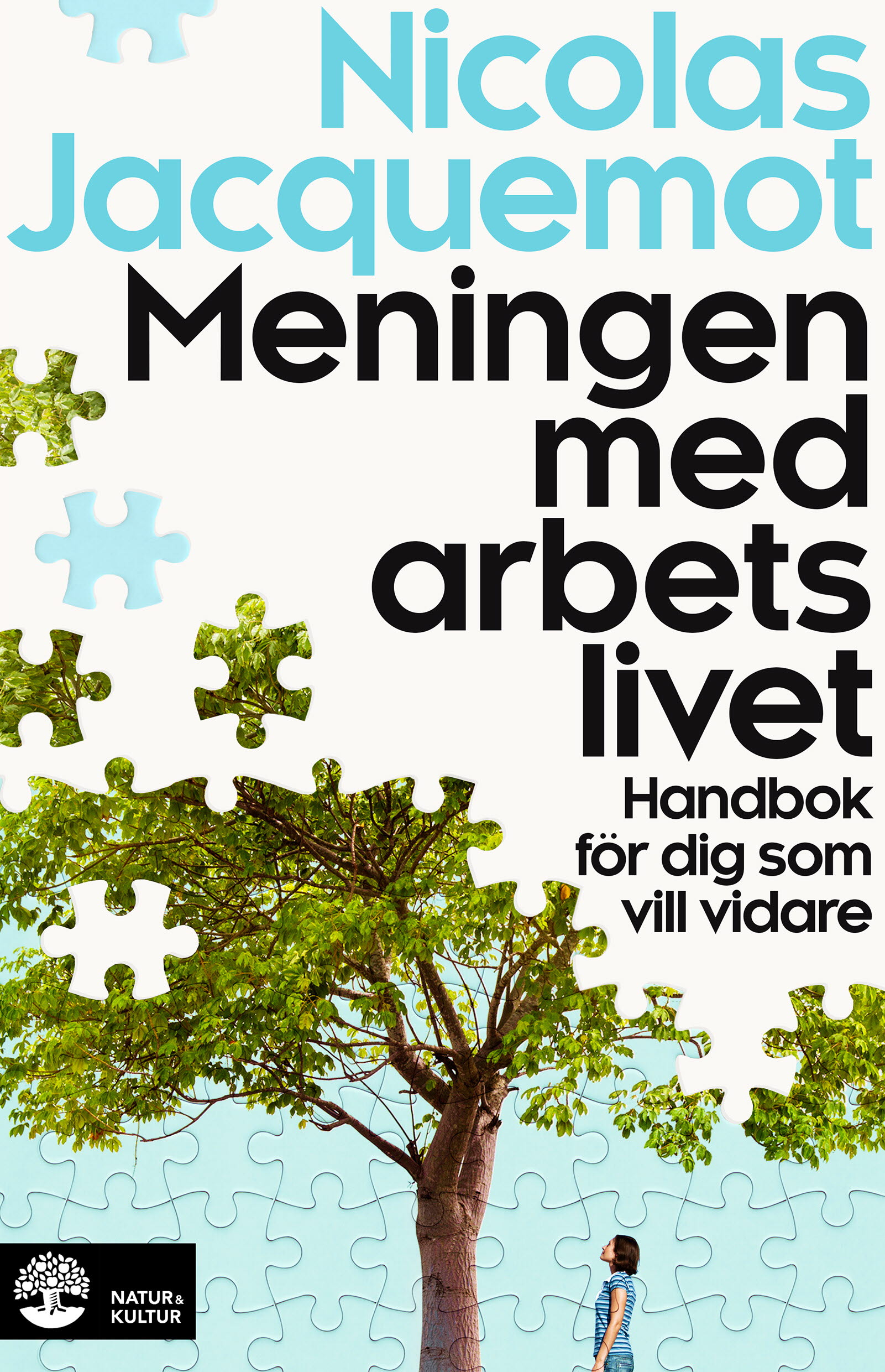 Omslag: Meningen med arbetslivet : handbok för dig som vill vidare