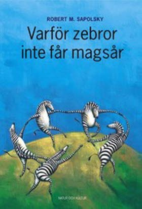 Varför zebror inte får magsår