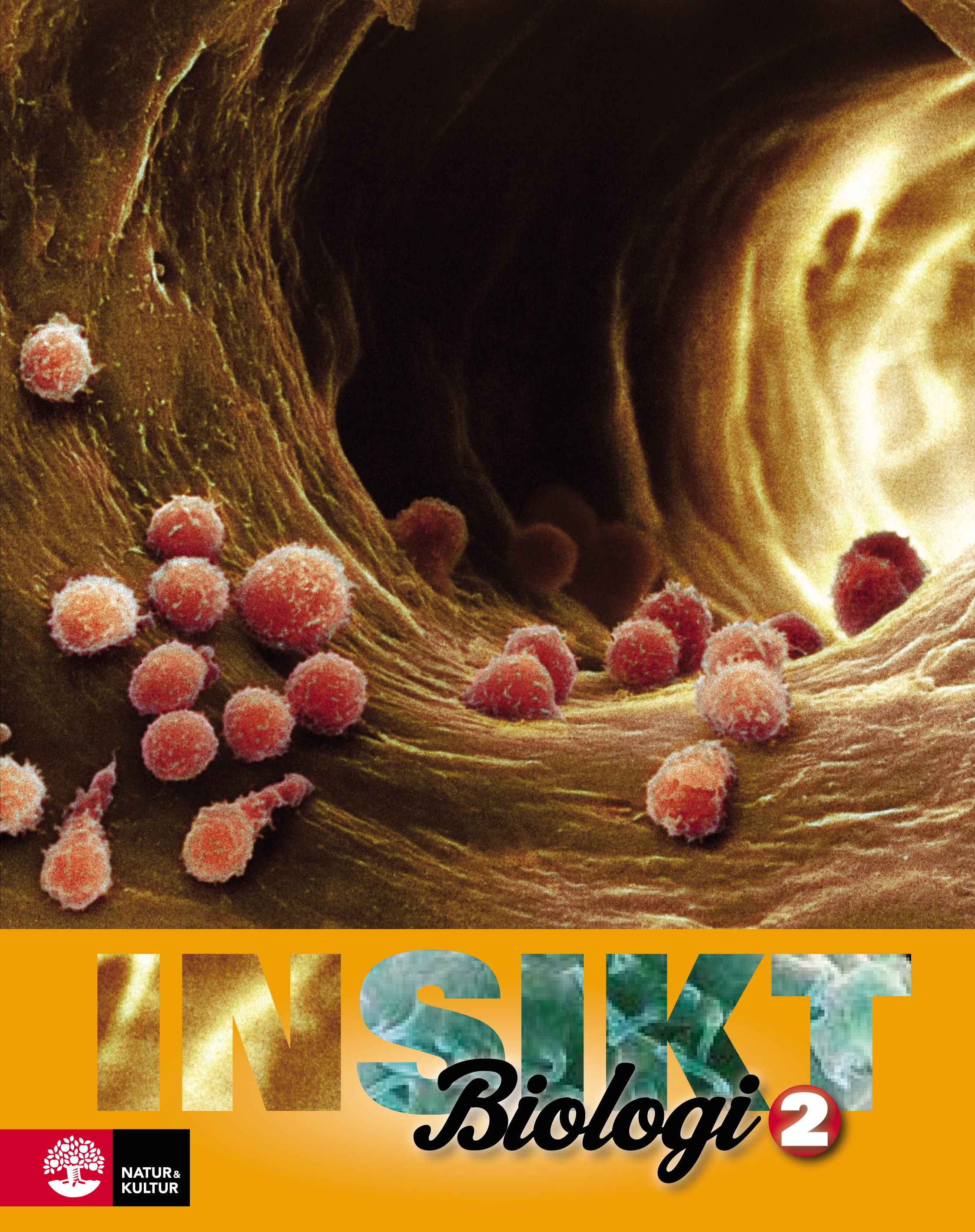 Omslag: Insikt Biologi 2 Lärobok