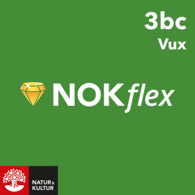NOKflex Matematik 3bc Vux