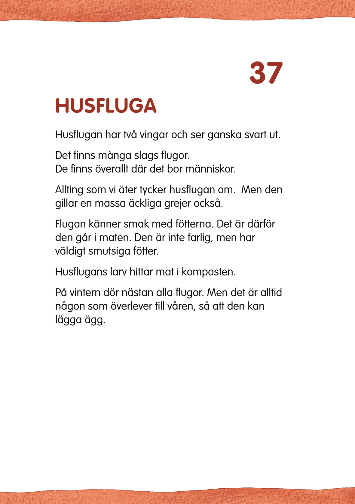 Omslag: Vilda husdjur faktakort