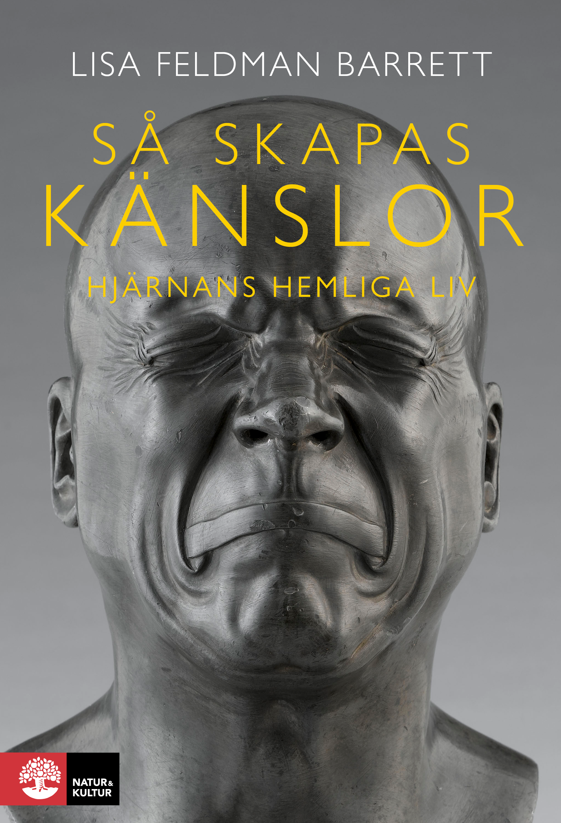 Omslag: Så skapas känslor : Hjärnans hemliga liv