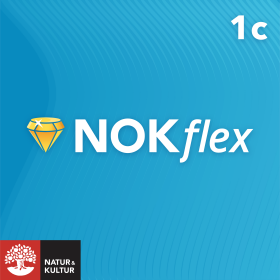 NOKflex Matematik 1c