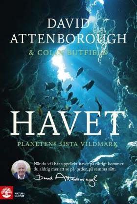 Havet