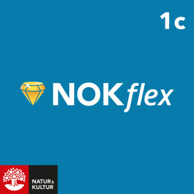 NOKflex Matematik 1c