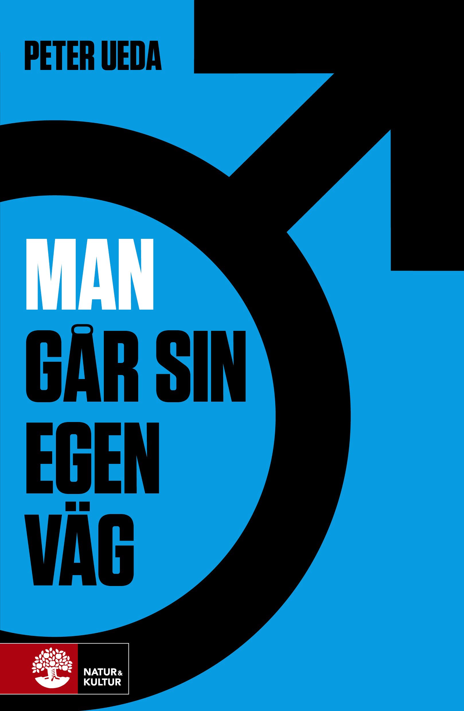 Omslag: Man går sin egen väg : riktningar i sexlöshetens dimma