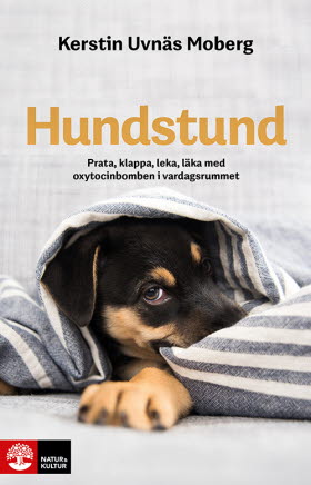 Hundstund