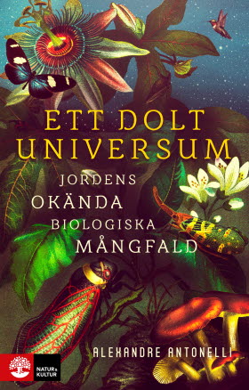 Ett dolt universum