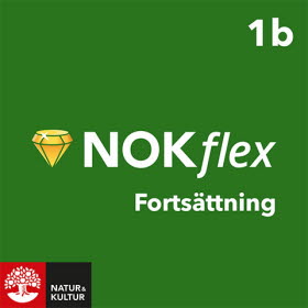 NOKflex Matematik - fortsättning Nivå 1b (kurs 3b)