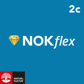 NOKflex Matematik 2c