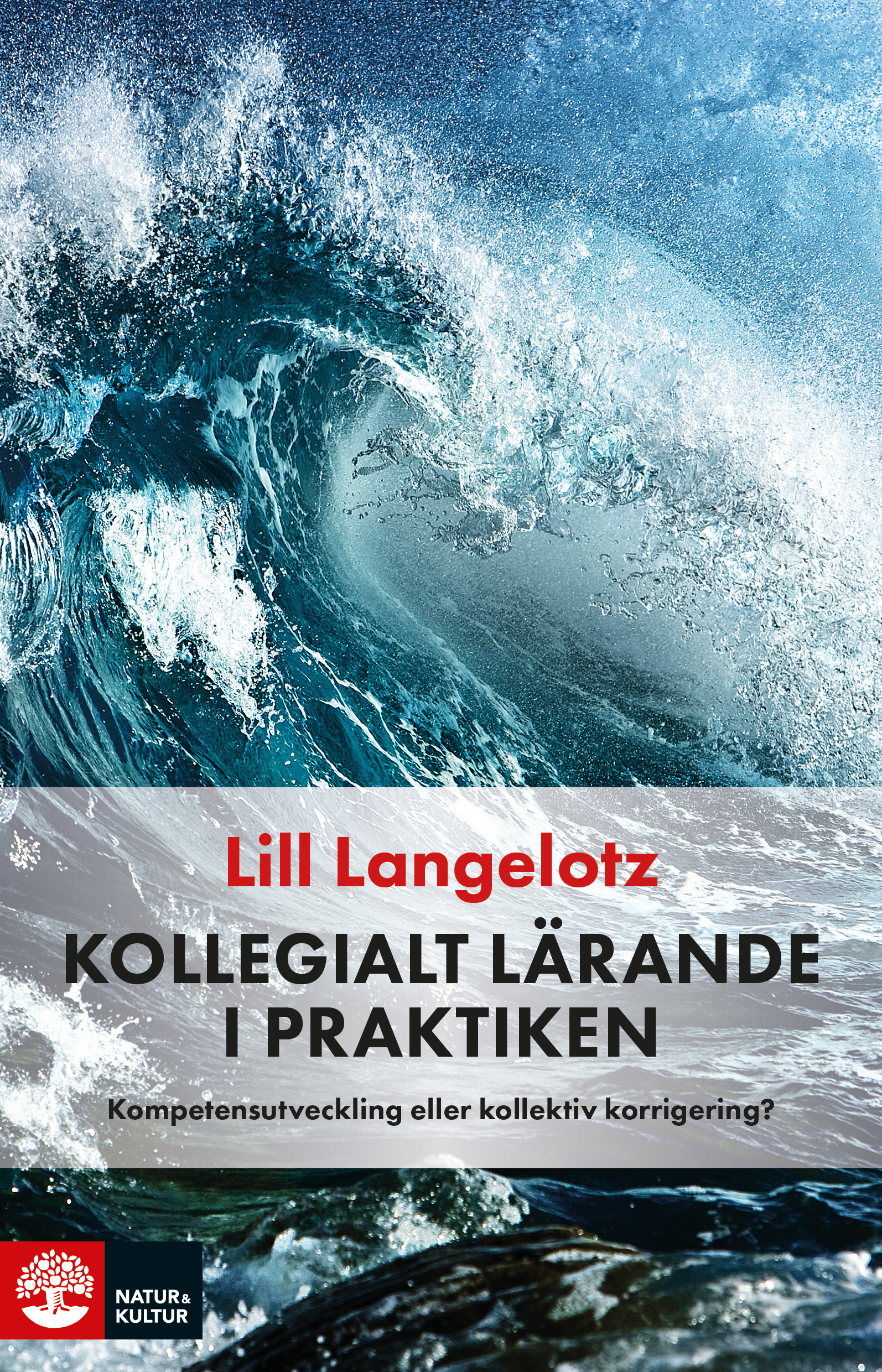 Omslag: Kollegialt lärande i praktiken : kompetensutveckling eller kollektiv korrigering?