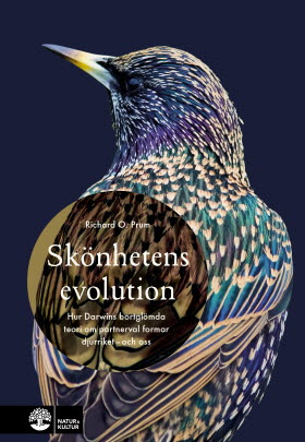 Skönhetens evolution