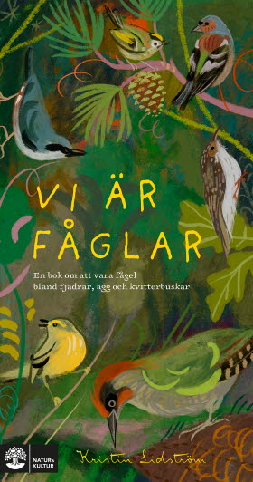 Vi är fåglar
