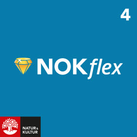 NOKflex Matematik 4