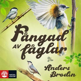 Fångad av fåglar