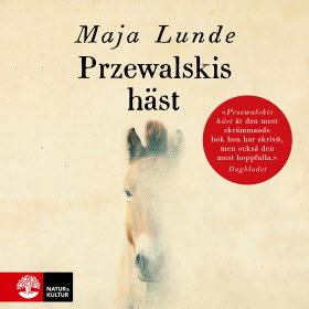 Przewalskis häst