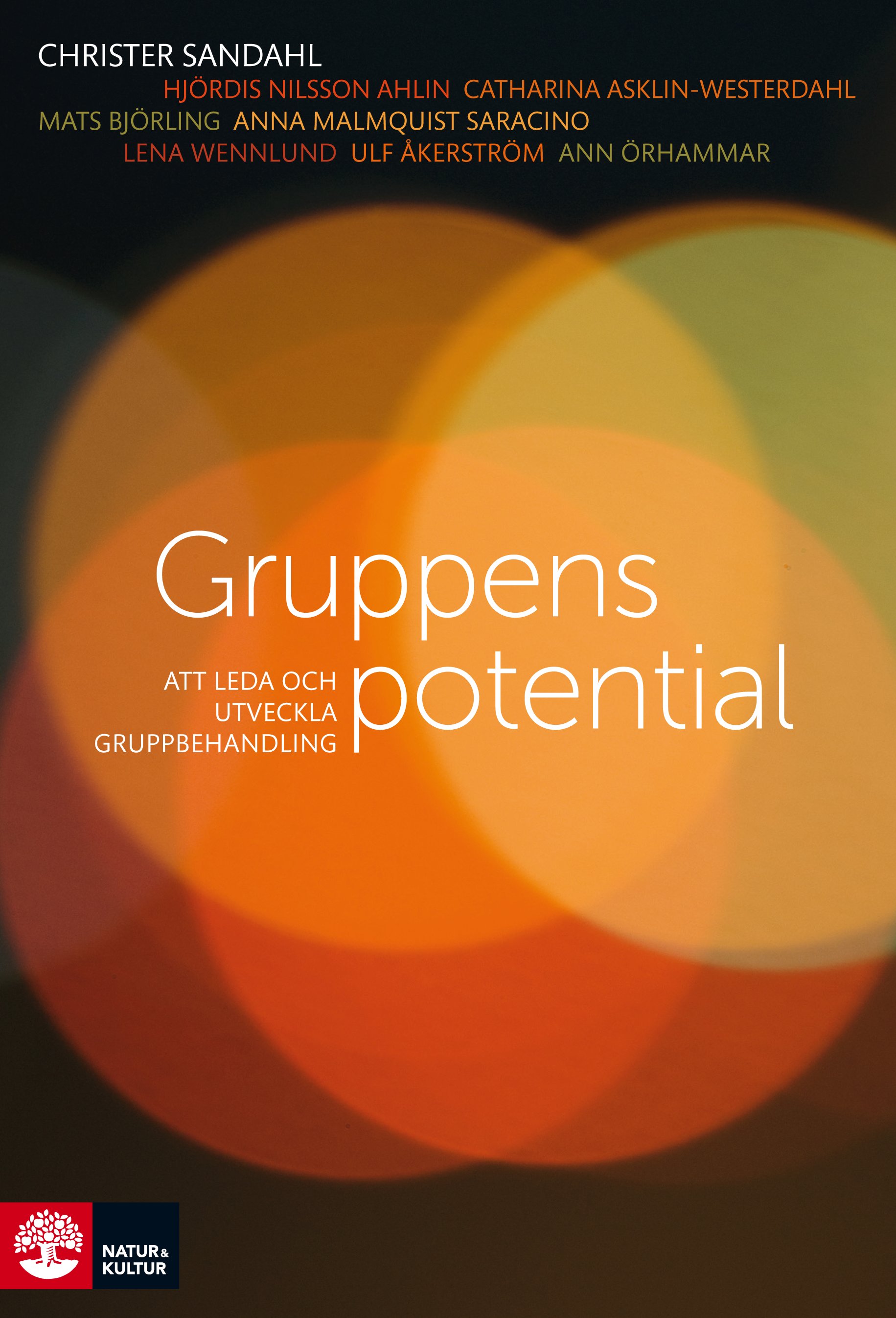 Omslag: Gruppens potential : att leda och utveckla gruppbehandling