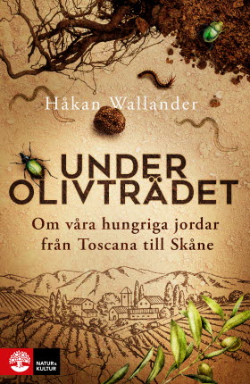 Under olivträdet