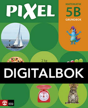 Pixel 5B Grundbok Digitalbok, andra uppl