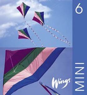 Wings Mini 6 Elevbok inkl cd