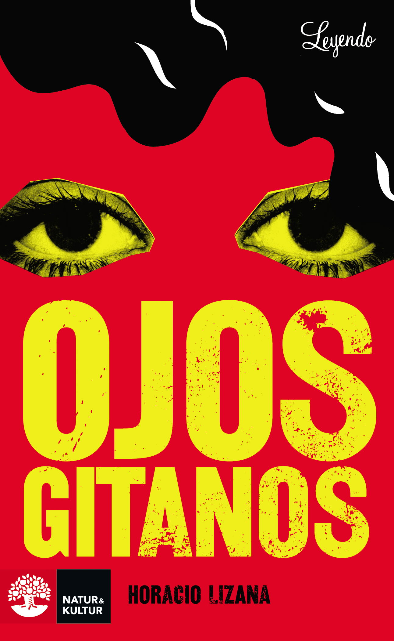 Omslag: Leyendo Ojos gitanos (Nivel A2)