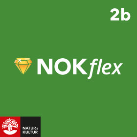 NOKflex Matematik 2b