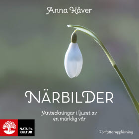 Närbilder