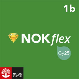 NOKflex Matematik Nivå 1b