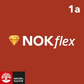 NOKflex Matematik 1a Röd