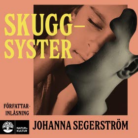 Skuggsyster