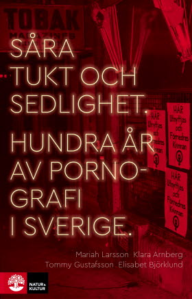 Såra tukt och sedlighet