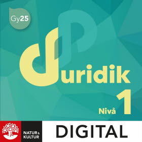 Juridik nivå 1 Digital