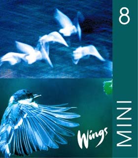 Wings Mini 8 Elevbok