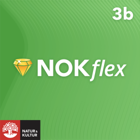 NOKflex Matematik 3b