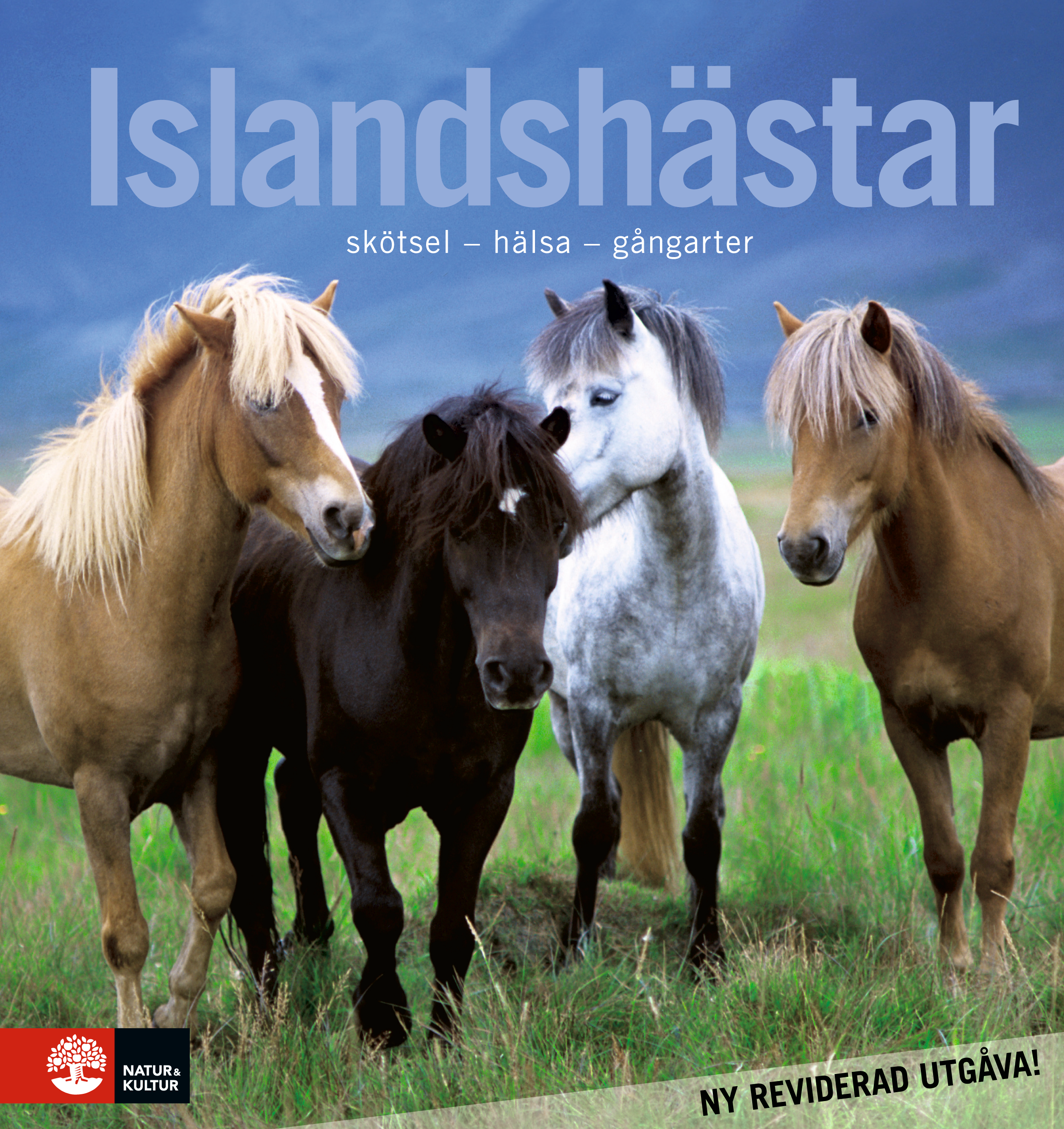 Omslag: Islandshästar : skötsel - hälsa - gångarter