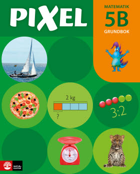 Pixel 5B Grundbok, andra upplagan
