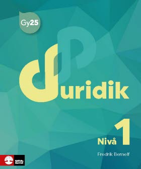 Juridik nivå 1