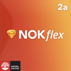 NOKflex Matematik 2a