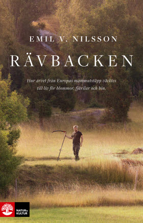 Rävbacken