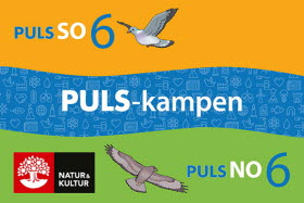 PULS-kampen NO och SO åk 6