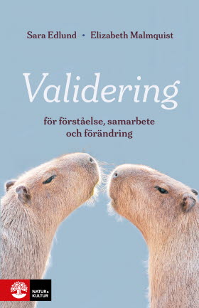 Validering