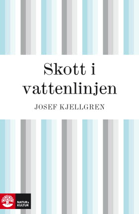 Skott i vattenlinjen